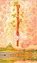 Tarot Class Wednesdays