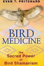 Bird Medicine by Evan T. Pritchard